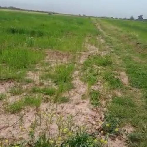 Annonce: A vendre plus d’un hectare agricole