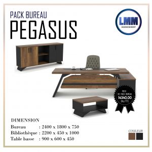 Annonce Pack Bureau PEGASUS
