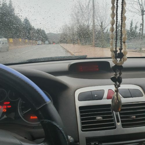 Annonce: peugeot 307