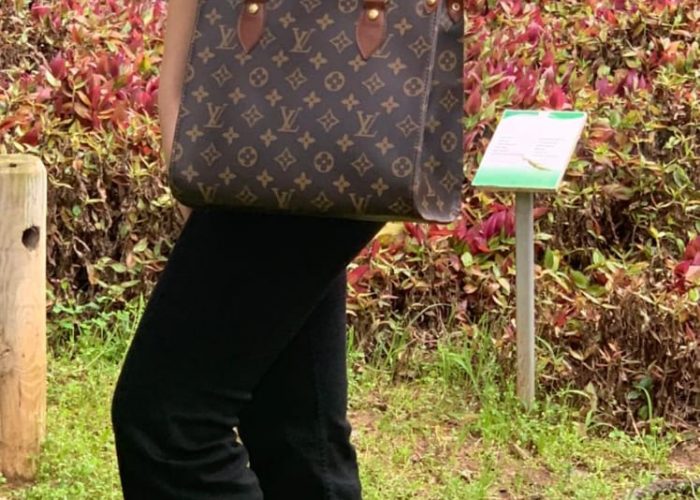 Image annonce: Sac à main