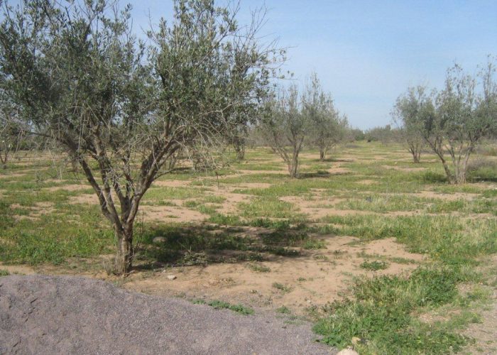 Image annonce: Terrain à Vendre