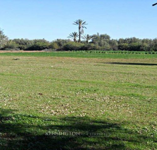 Annonce: Terrain à Vendre Route OURIKA