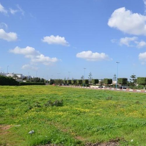 Annonce: Terrain à Vendre zone villa TARGA