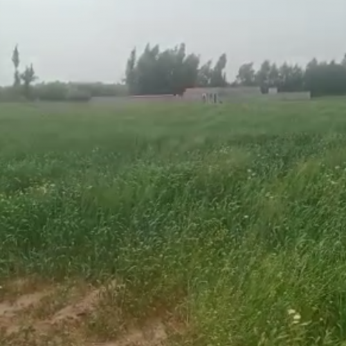 Annonce: Un hectare à vendre Km 26 route de sidi Rahal