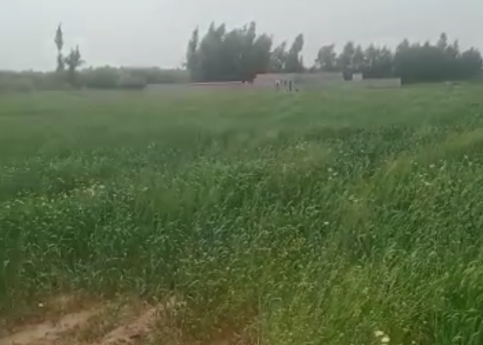 Image annonce: Un hectare à vendre Km 26 route de sidi Rahal