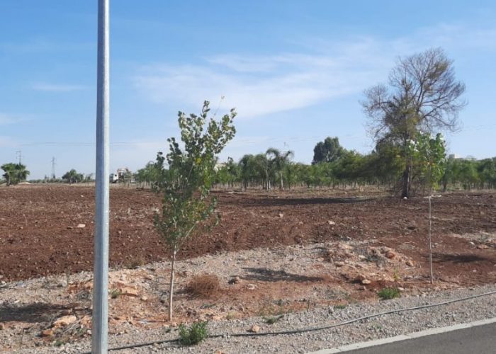 Image annonce: Terrain à vendre à Fès dans une résidence fermée Route de Sefrou