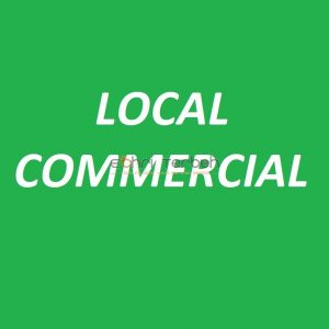 Annonce Local commercial a vendre