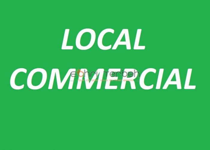 Image annonce: Local commercial a vendre