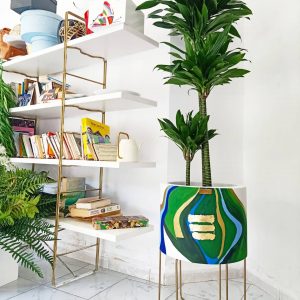 Annonce pot et plante