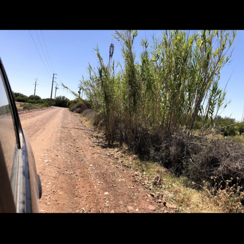 Annonce: Un ha Avendre Route tahnnoute