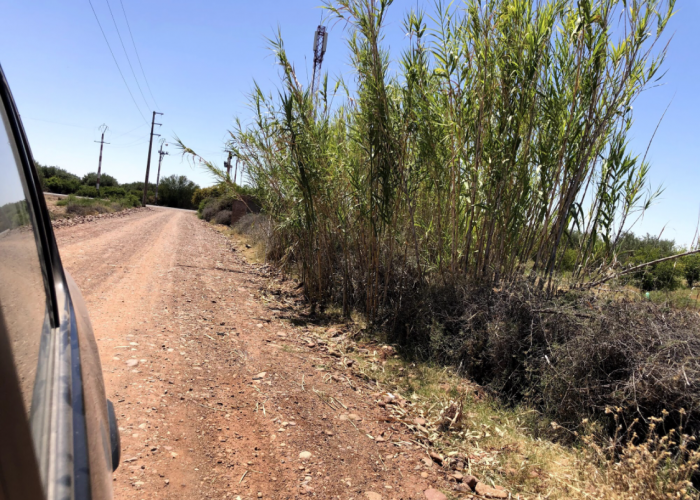 Image annonce: Un ha Avendre Route tahnnoute
