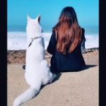 Image de Profil de Nora Nor