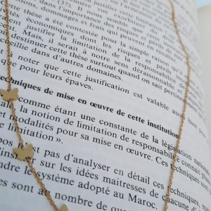 Annonce Collier en Acier inoxydable authentique et à petit prix
