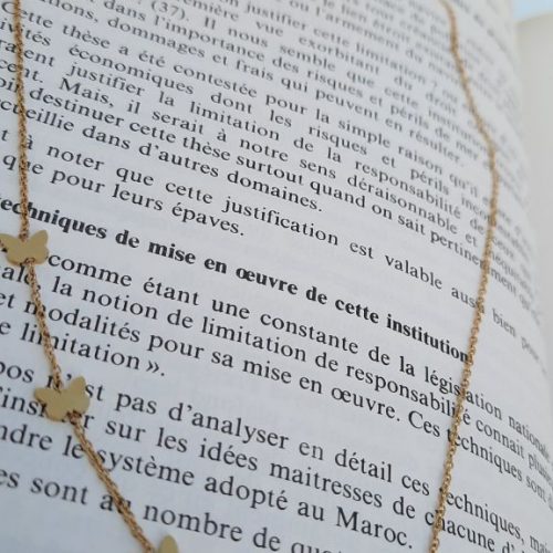 Annonce: Collier en Acier inoxydable authentique et à petit prix