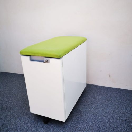 Annonce: CAISSON AVEC COUSSIN D’ASSISE VERT