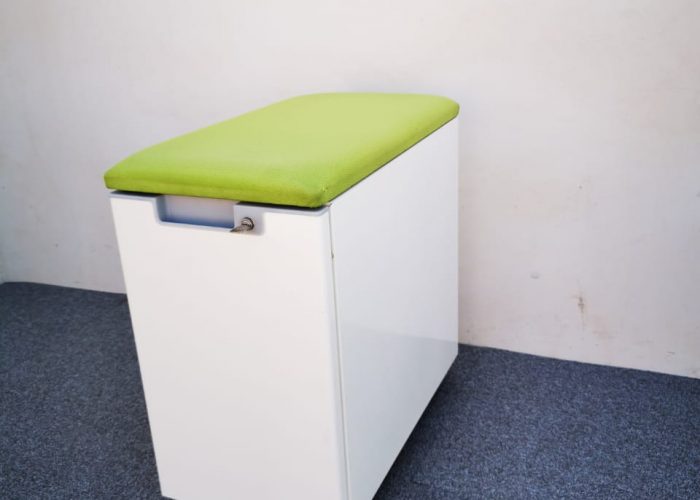 Image annonce: CAISSON AVEC COUSSIN D’ASSISE VERT