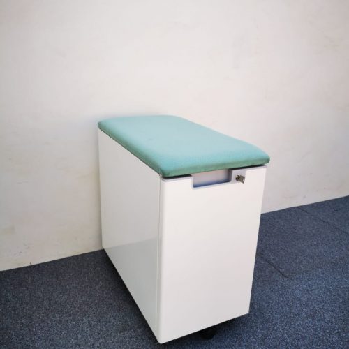 Annonce: CAISSON AVEC COUSSIN D’ASSISE VERT EAU