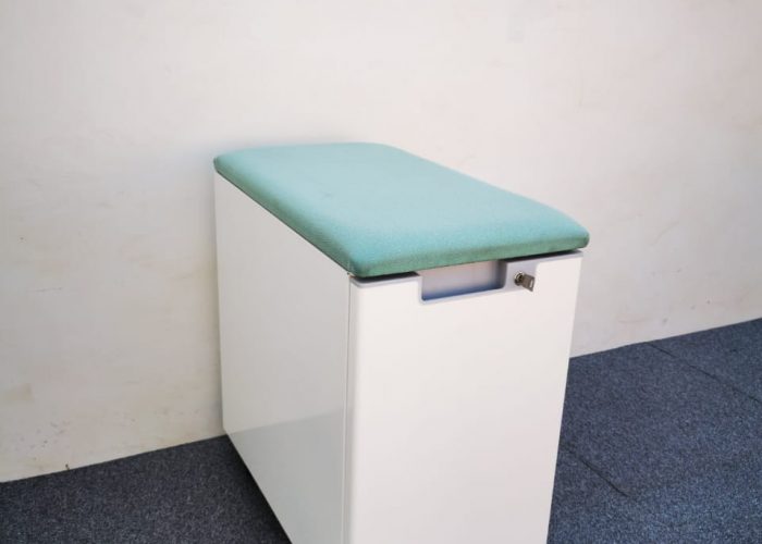Image annonce: CAISSON AVEC COUSSIN D’ASSISE VERT EAU