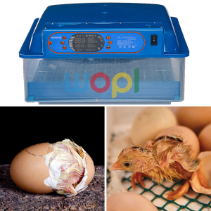 Annonce couveuse 48 oeuf automatique