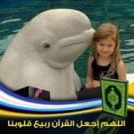 Image de Profil de Avon Rabat Salé Avon