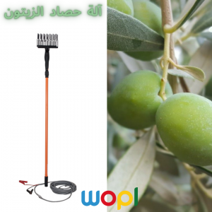 Annonce Vibreur pour la récolte d'olives