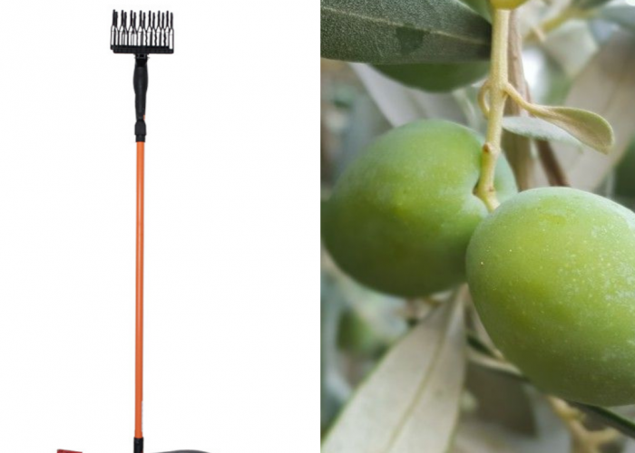 Image annonce: Vibreur pour la récolte d’olives