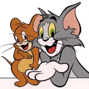 Annonce ديكور الوليداتك