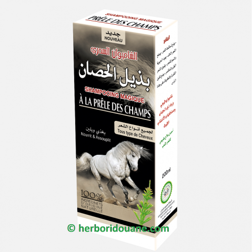 Annonce: شامبو بذيل الحصان