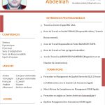 Image de Profil de Abdelilah Bentaleb