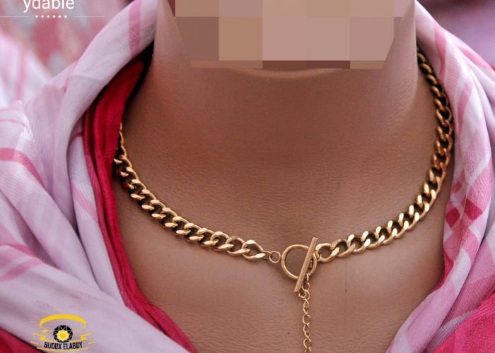 Image annonce: Collier acier inoxydable