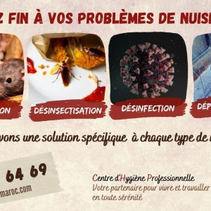 Annonce Offre de services de Dératisation, Désinsectisation, Désinfection