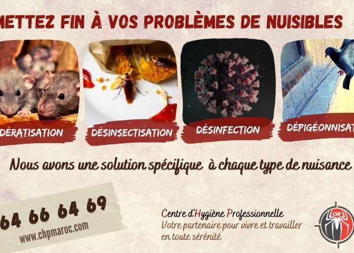 Image annonce: Offre de services de Dératisation, Désinsectisation, Désinfection