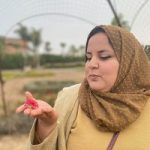 Image de Profil de Chaimaa Mernissi