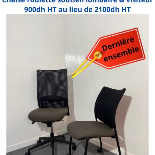 Annonce: Chaise à roulette soutien lombaire & visiteur marron résille