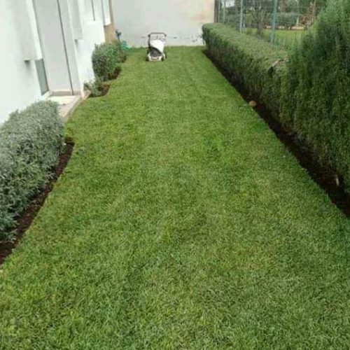Annonce: Jardinier garden à Rabat