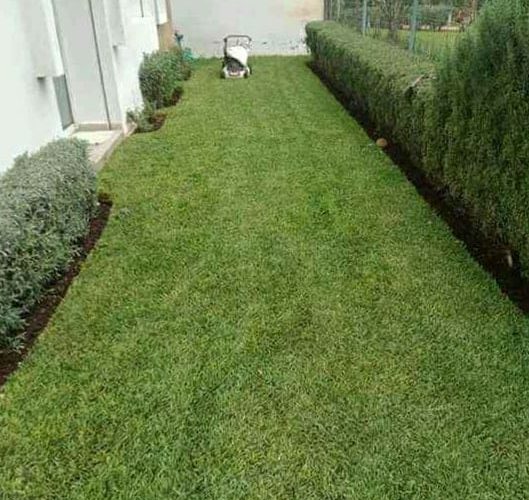 Image annonce: Jardinier garden à Rabat