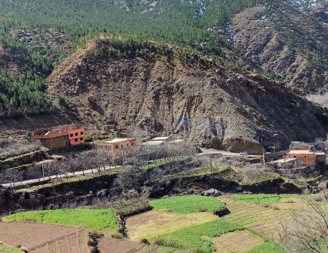 Image Offre d'emploi: Cherche manageur pour maison d’hôtes a imlil