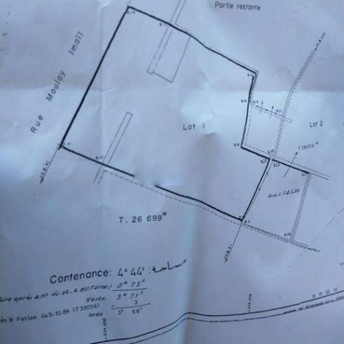Annonce: à vendre TERRAIN 368m² Titré POUR UN FUTUR PROJET TOURISTIQUE à Jemaa el-Fnaa