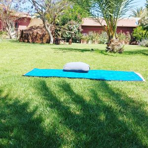 Annonce Cours privés de Yoga et médiation