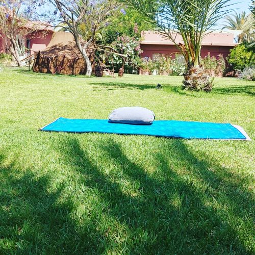 Annonce: Cours privés de Yoga et médiation