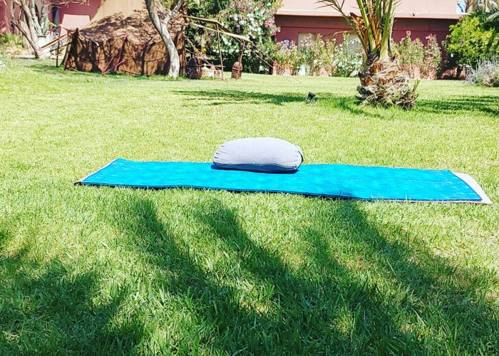 Image annonce: Cours privés de Yoga et médiation