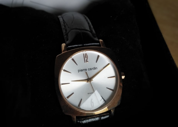 Image annonce: Montre pierre cardin