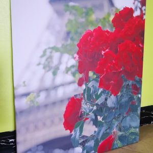 Annonce Tableaux décoratifs
