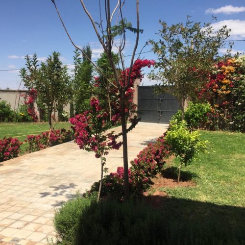 Annonce: Villa à vendre, route de Fès