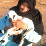Image de Profil de NaJwa Karim