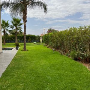 Annonce A vendre Villa a Prestigia Marrakech