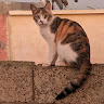 Image de Profil de Elinettoy