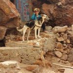 Image de Profil de Imane Amouni
