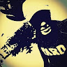 Image de Profil de Nabil Choukri