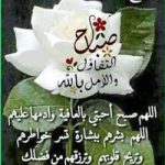 Image de Profil de Ahmed Idrissi